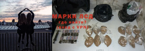 эйфоретик Беломорск