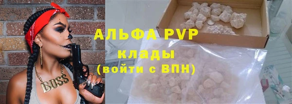 сатива Каменка