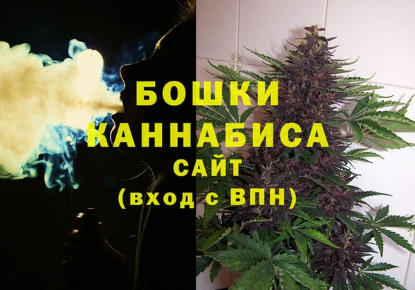 прущая мука Инта