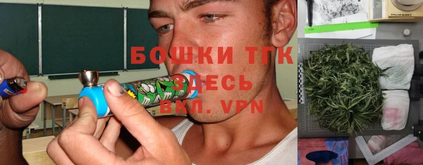 индика Балахна
