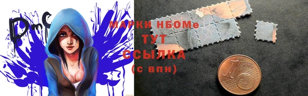 индика Балахна