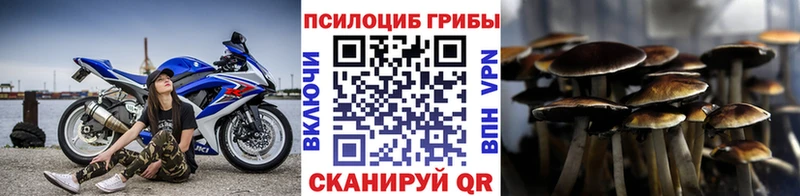 Галлюциногенные грибы Cubensis Волгореченск
